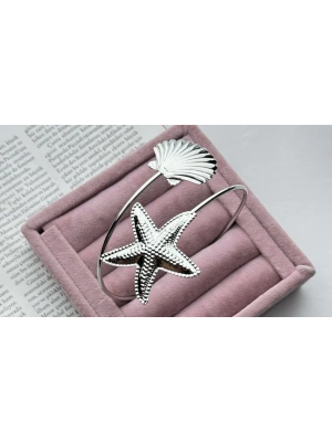 Pazu DenizYıldızı