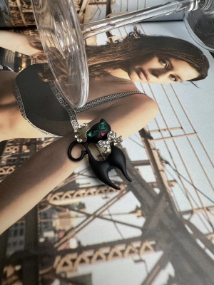 Siyah Fiyonklu Kedi Broş