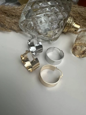 Tasarım Halka Küpe