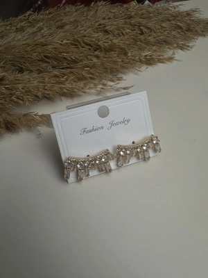 Tasarım Taşlı Altın Kaplama Küpe