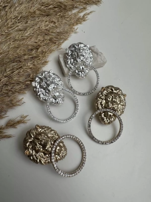 Taşlı Halka Detay Aslan Tasarım Küpe