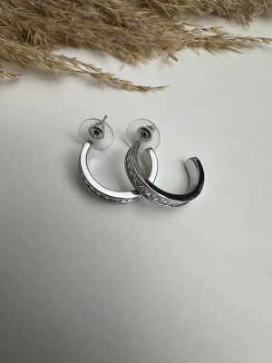 Taşlı Halka Küpe Silver Renk