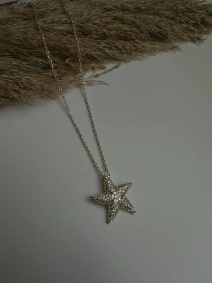 Taşlı Yıldız Kolye Vip Seri