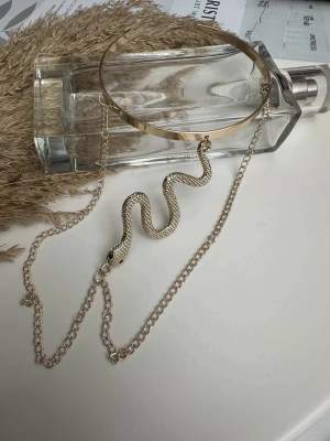 Yılan Model Pazu Bilekliği