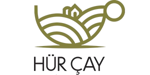 Hürçay
