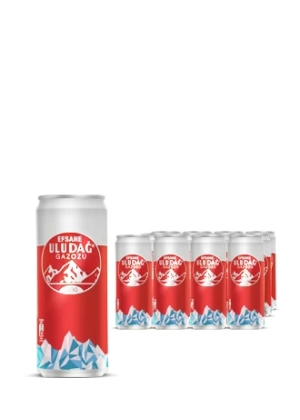 Efsane Gazozu Kutu 330 Ml (12 Adet 1 Koli)