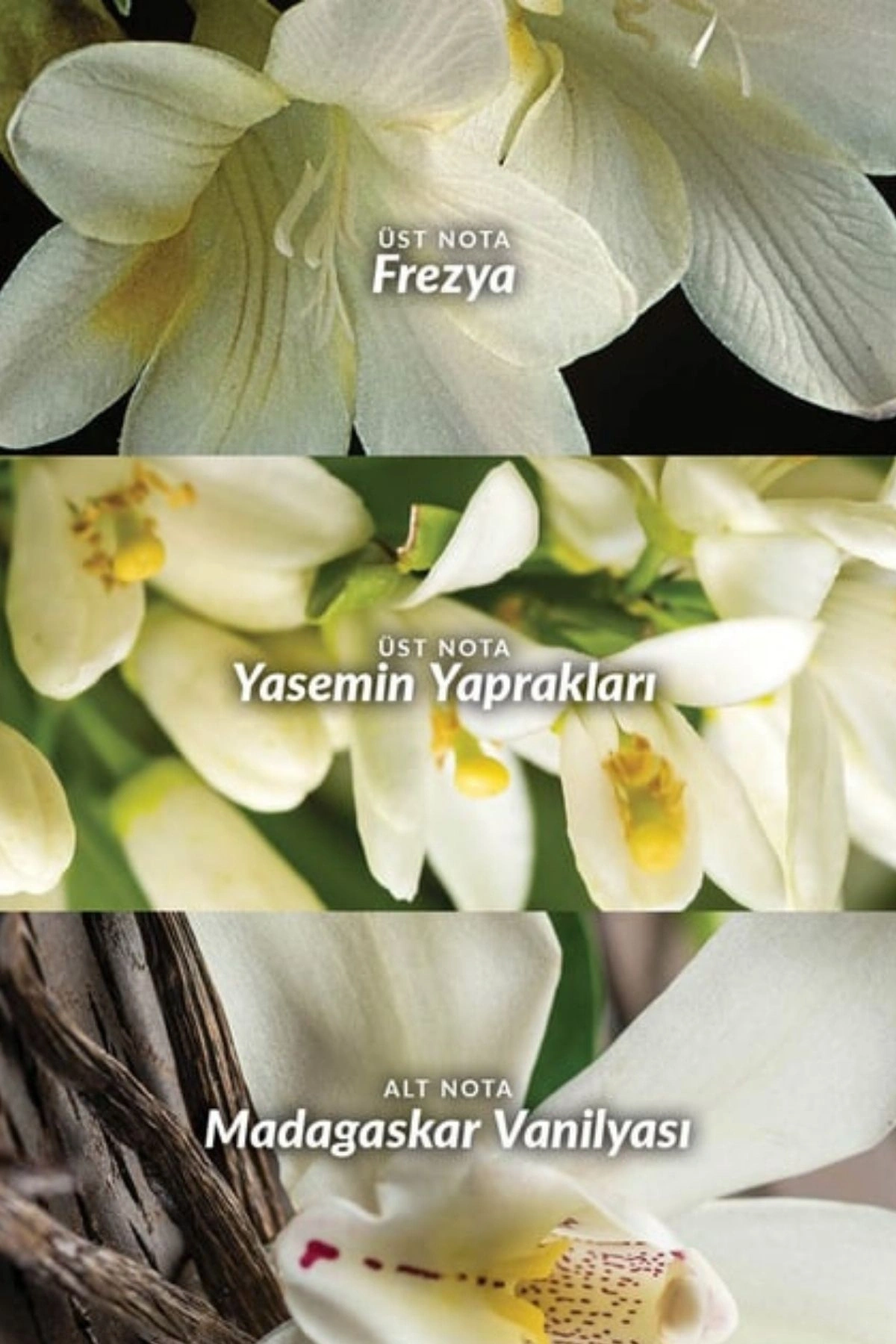 Far Away Kadın Roll-on Deodorant 50ml