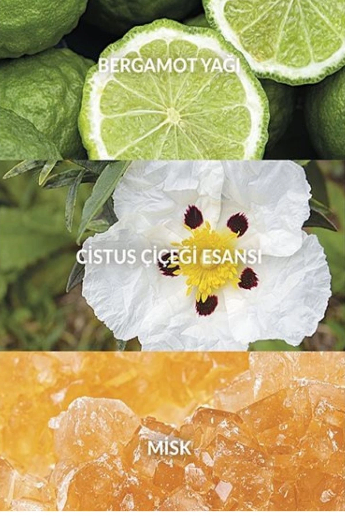 Full Speed Erkek Parfüm EDT 30ml