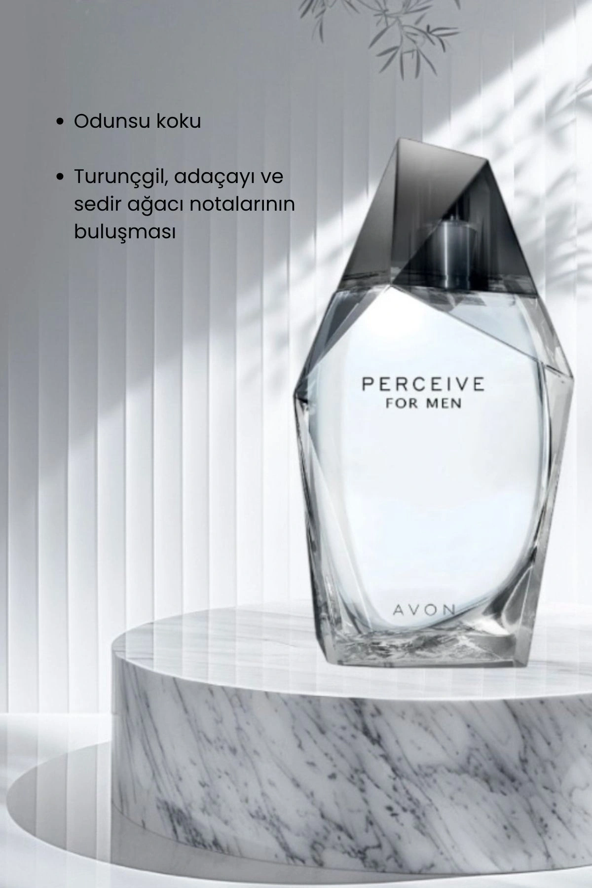 Perceive Erkek Parfüm EDT 100ml