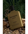 Gabrini Richmen Gold EDT 100 ml Erkek Parfüm
