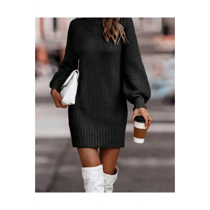 Kadın Uzun Kollu Balıkçı Yaka Mini Triko Elbise