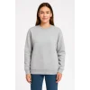 Üç İplik Düz Bisiklet Yaka SweatShirt - Gri
