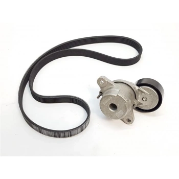 PEUGEOT 301 KAYIS TAKIMI