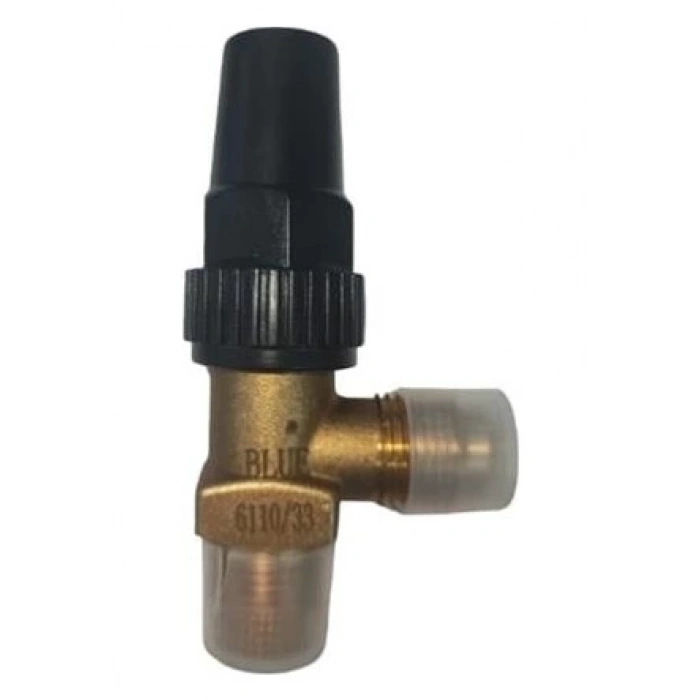 Blue BLR-6110/22 1/4SAE-1/4NPT Depo Vanası