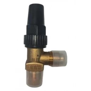 Blue BLR-6110/22 1/4SAE-1/4NPT Depo Vanası