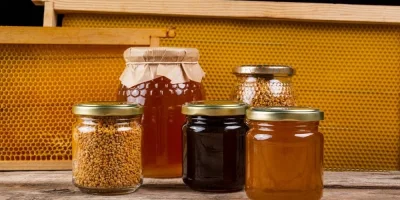 Bal Çeşitleri Nelerdir? 10 Bal Türü ve Detayları!