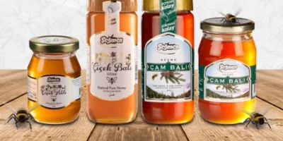 Çam Balı Mı Çiçek Balı Mı Daha İyidir?