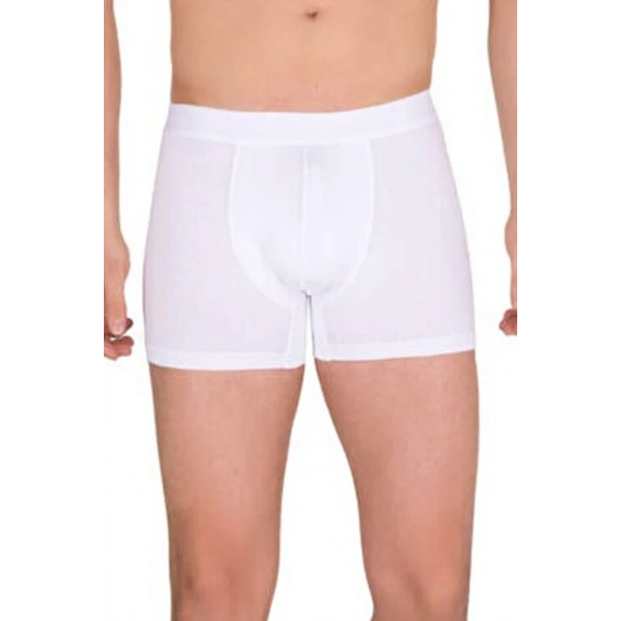 Giyim Berrak Erkek  Modal Boxer  4476