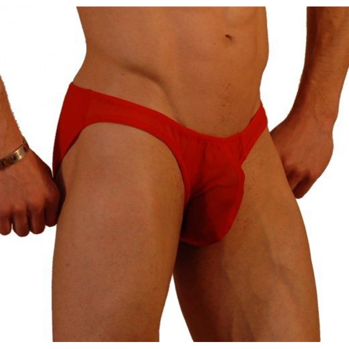 Giyim  Br041205 Klasik  Erkek  İç Giyim