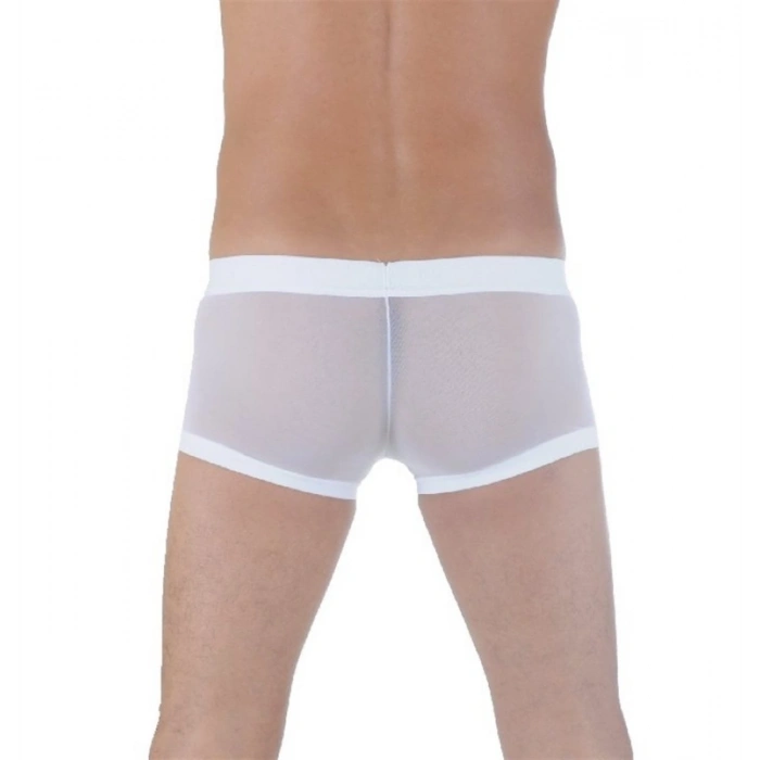 Giyim  Br291125 Transparan Boxer