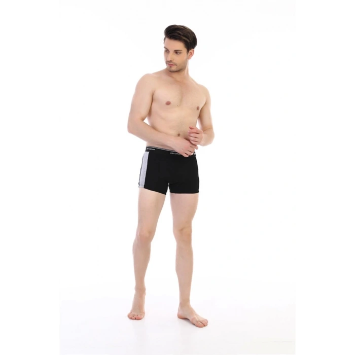 Giyim Çift Kaplan 850 Biyeli Likralı Erkek  Boxer
