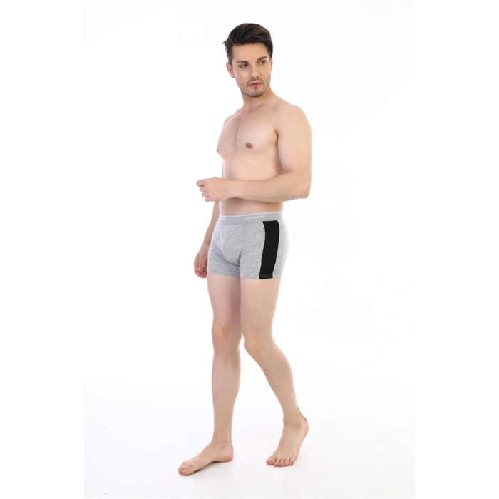 Giyim Çift Kaplan 850 Biyeli Likralı Erkek  Boxer
