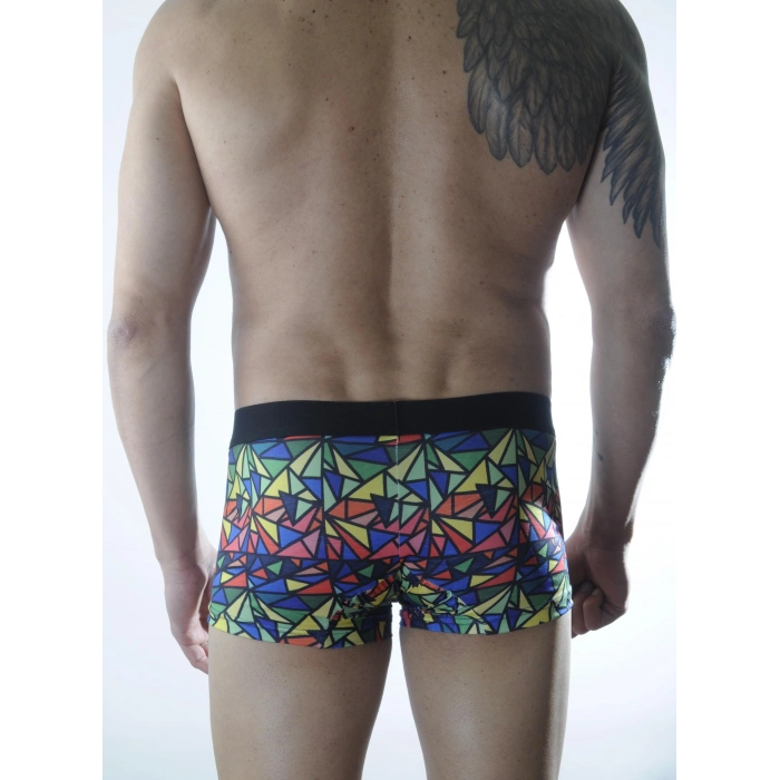 Giyim Erkek Renkli Desenli Boxer