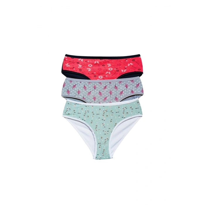 Giyim Pamuklu Geniş Kenarlı Likralı Desenli Bato Kadın Külot 3lü Paket Set1