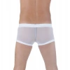 Giyim  Br291125 Transparan Boxer