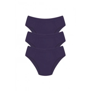 Erkek Pamuk 3lü Saks Slip