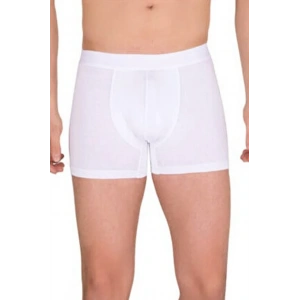 Giyim Berrak Erkek  Modal Boxer  4476