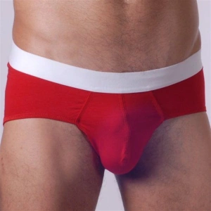 Giyim  Br140502  Slip Çamaşır