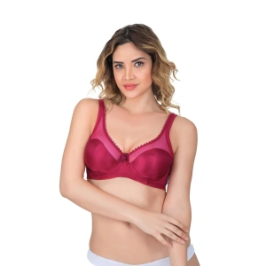 Bordo Mı Emay 169 C Basic Balenli Toparlayıcı Sütyen
