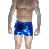 Erkek Mavi Lame Short