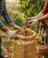 İnterbag Hasat Çuval 80 Gr
