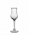 Paşabahçe 440111 Grappa Kahve Yanı Su Kadehi 95cc 6lı