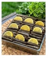 Paşabahçe 59304 Borcam Tepsi 22x22 Cm 2400 Cc