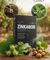 Zinkabor Ec Fertilizer Mikro Elementli Granül Gübre 1 Kg