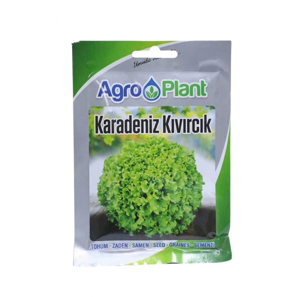 Agroplant Karadeniz Kıvırcık Marul Tohumu 25 Gr