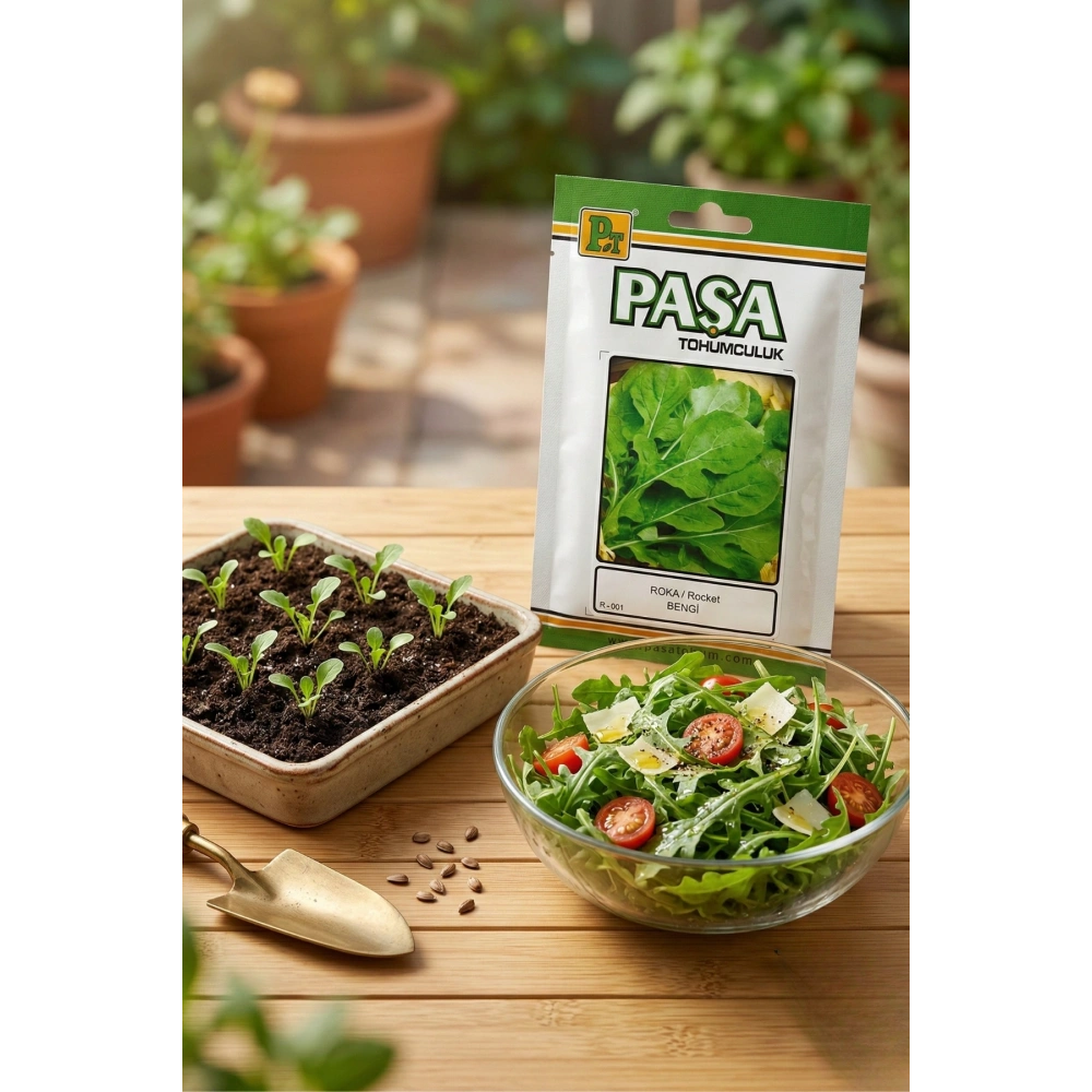 Paşa Roka Tohum 10 Gr