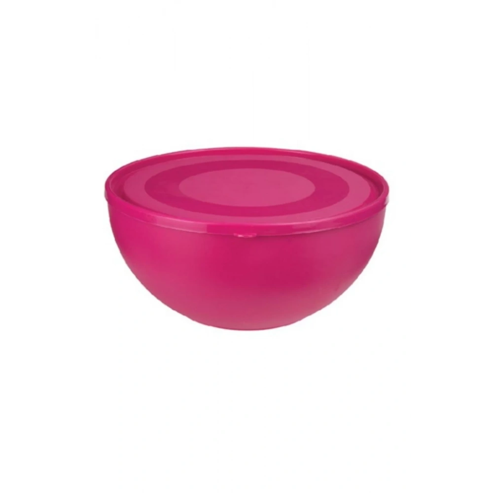 Üçsan 299 Kapaklı Saklama Kabı 32x15 Cm