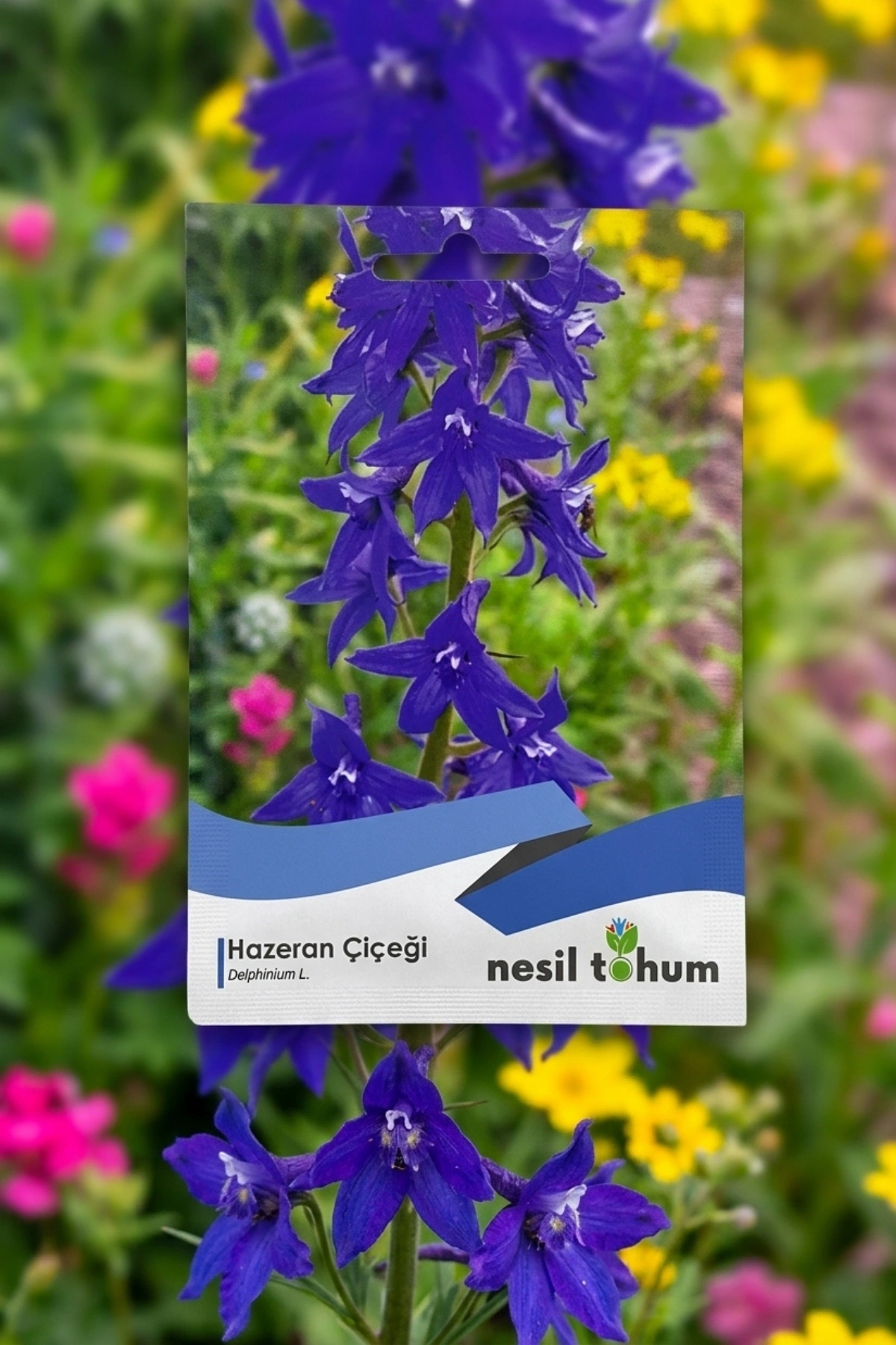 Hazeran Çiçeği Tohumu