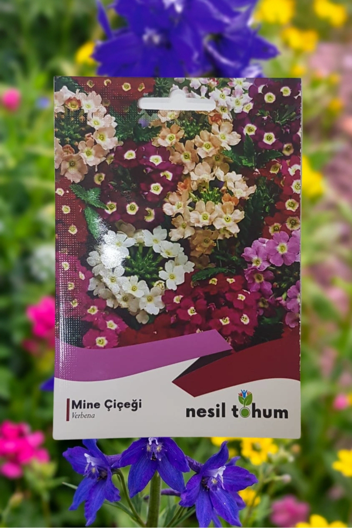 Mine Çiçeği Tohumu