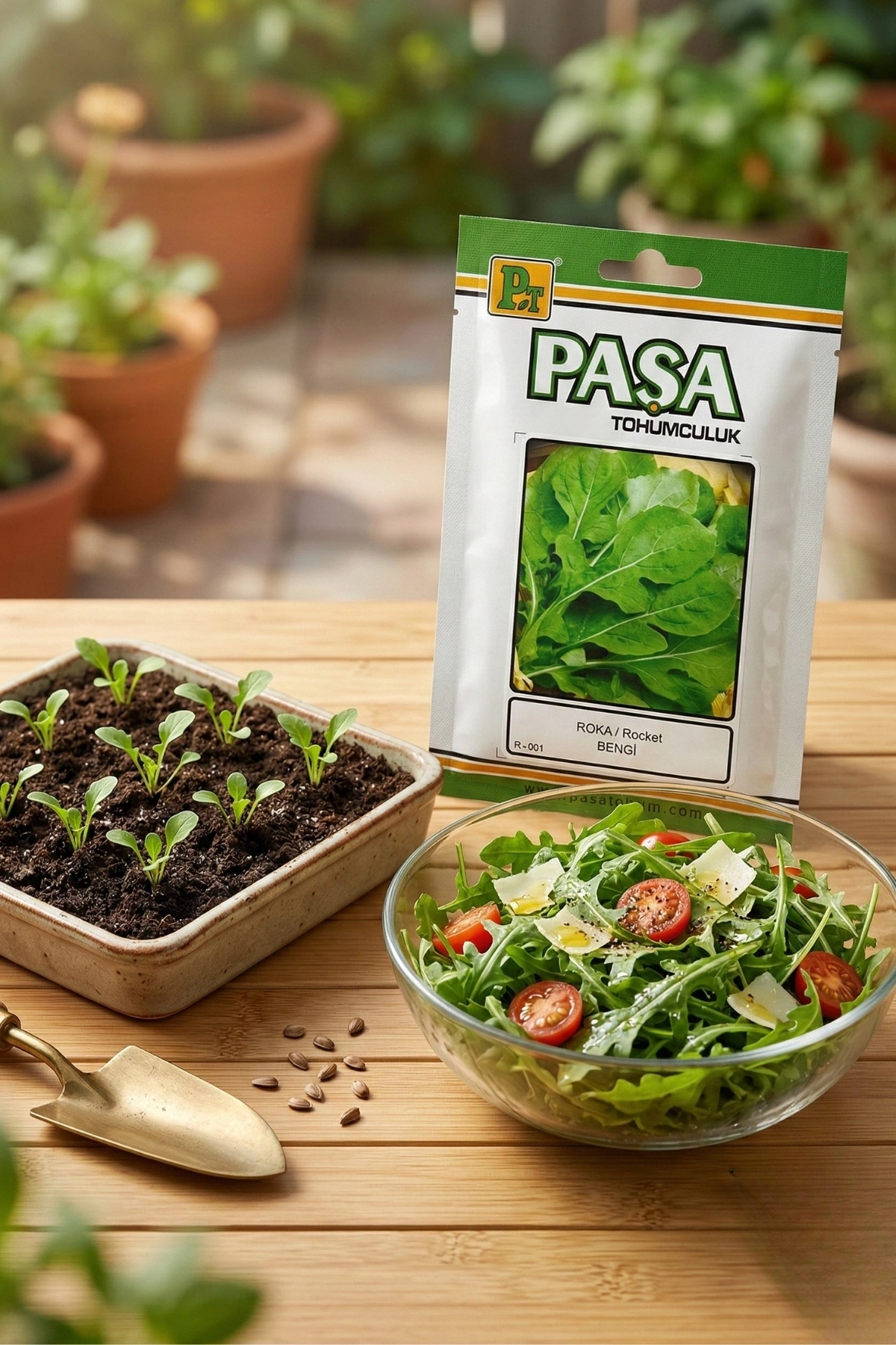 Paşa Roka Tohum 10 Gr