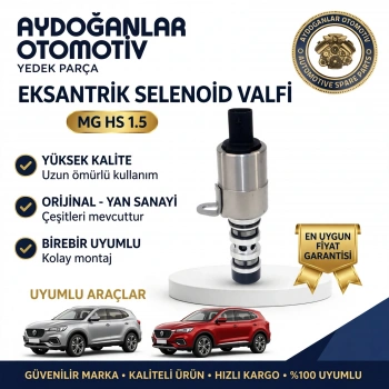 Mg Hs Eksantrik Selenoid Valfi