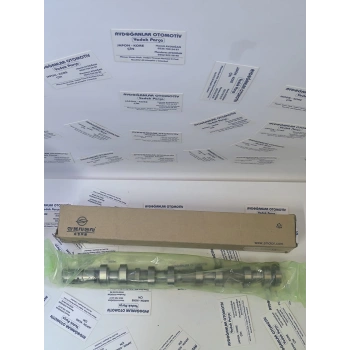 TİVOLİ XLV BENZİNLİ EKSANTRİK EGZOZ