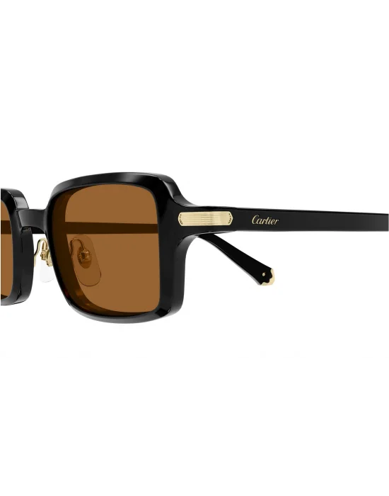 CARTIER SUN CT0539S 003