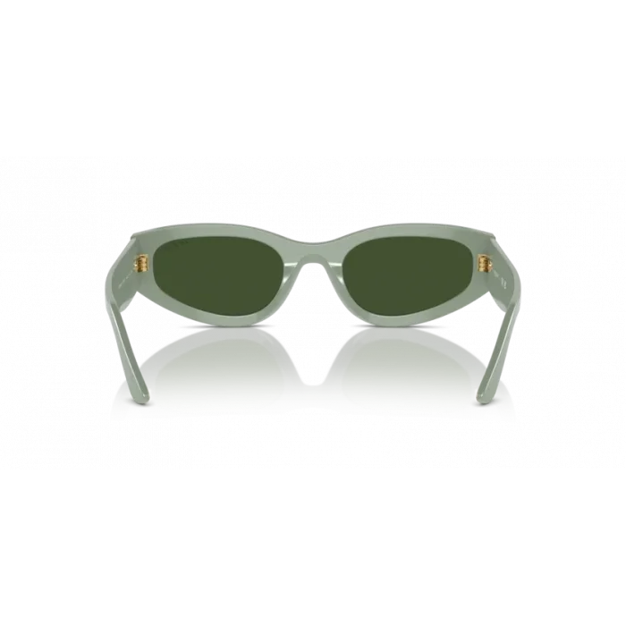 VOGUE SUN 5585-S 316171