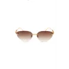 OSSE SUN OS3817 C04