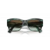 VOGUE SUN 5462-S 3088E8